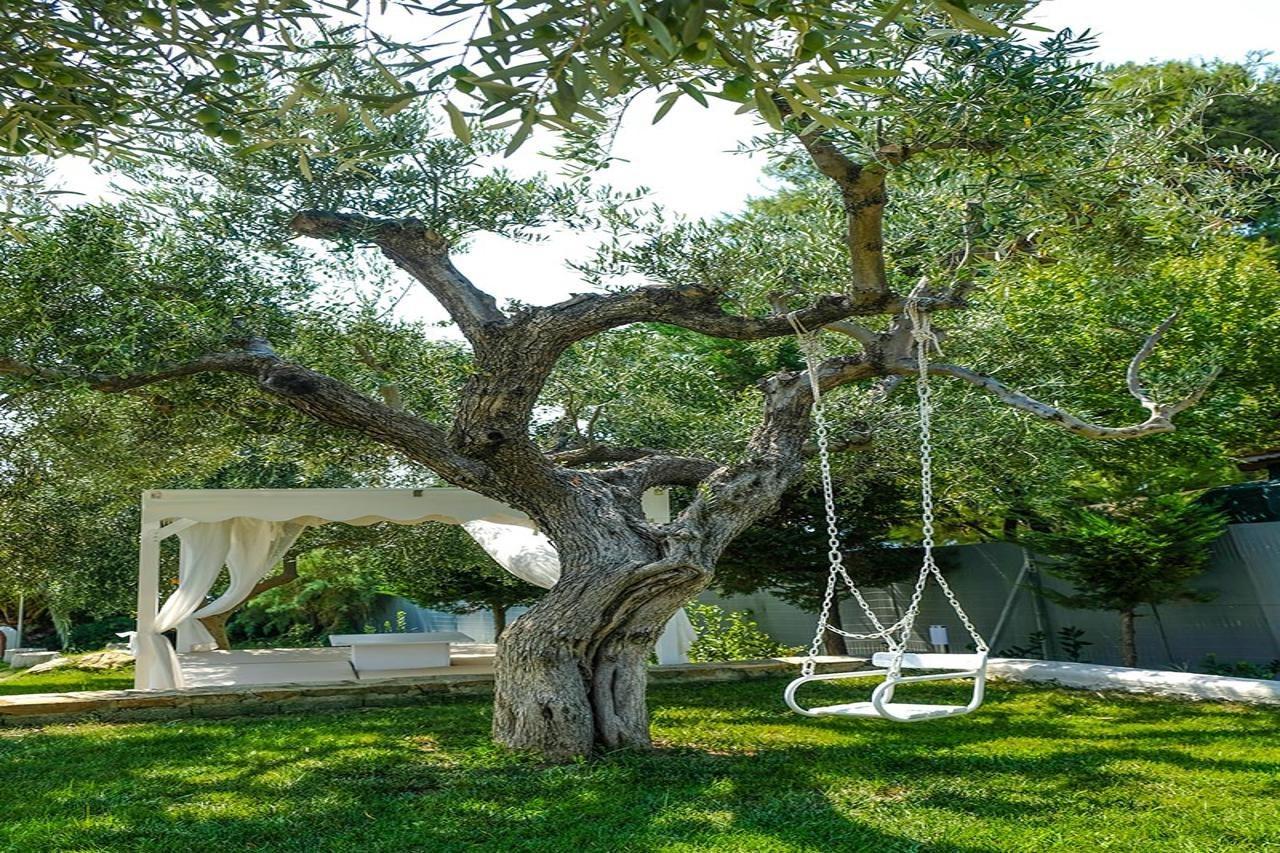 Acrotel Athena Villa Elia Nikitis Luaran gambar